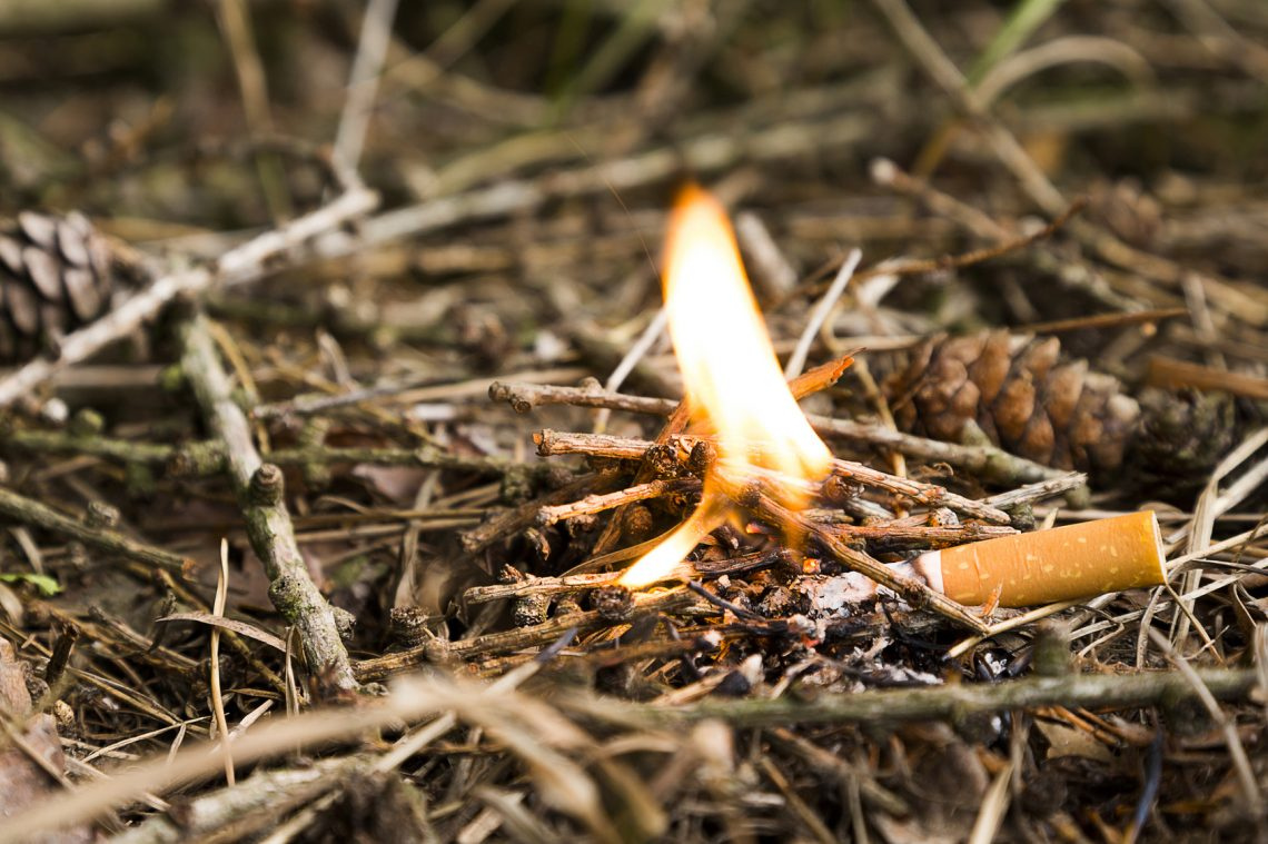 Eine angezündetete Zigarette auf trockenem Holz.